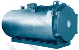Buderus Logano S825M
